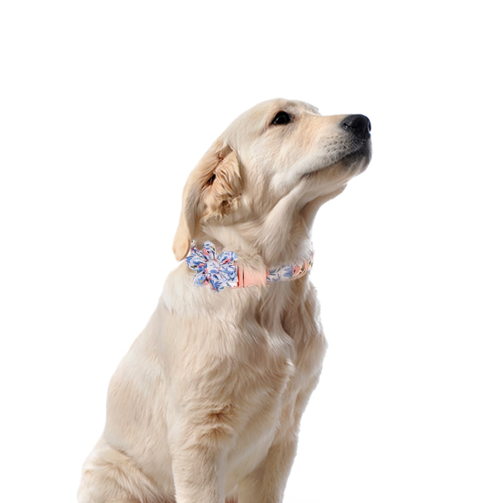 Ameitech Flower Dog Collar, Blue Adjustable Girl Dog Collar with Flower, Floral Pattern Pet Collar for Medium Dogs