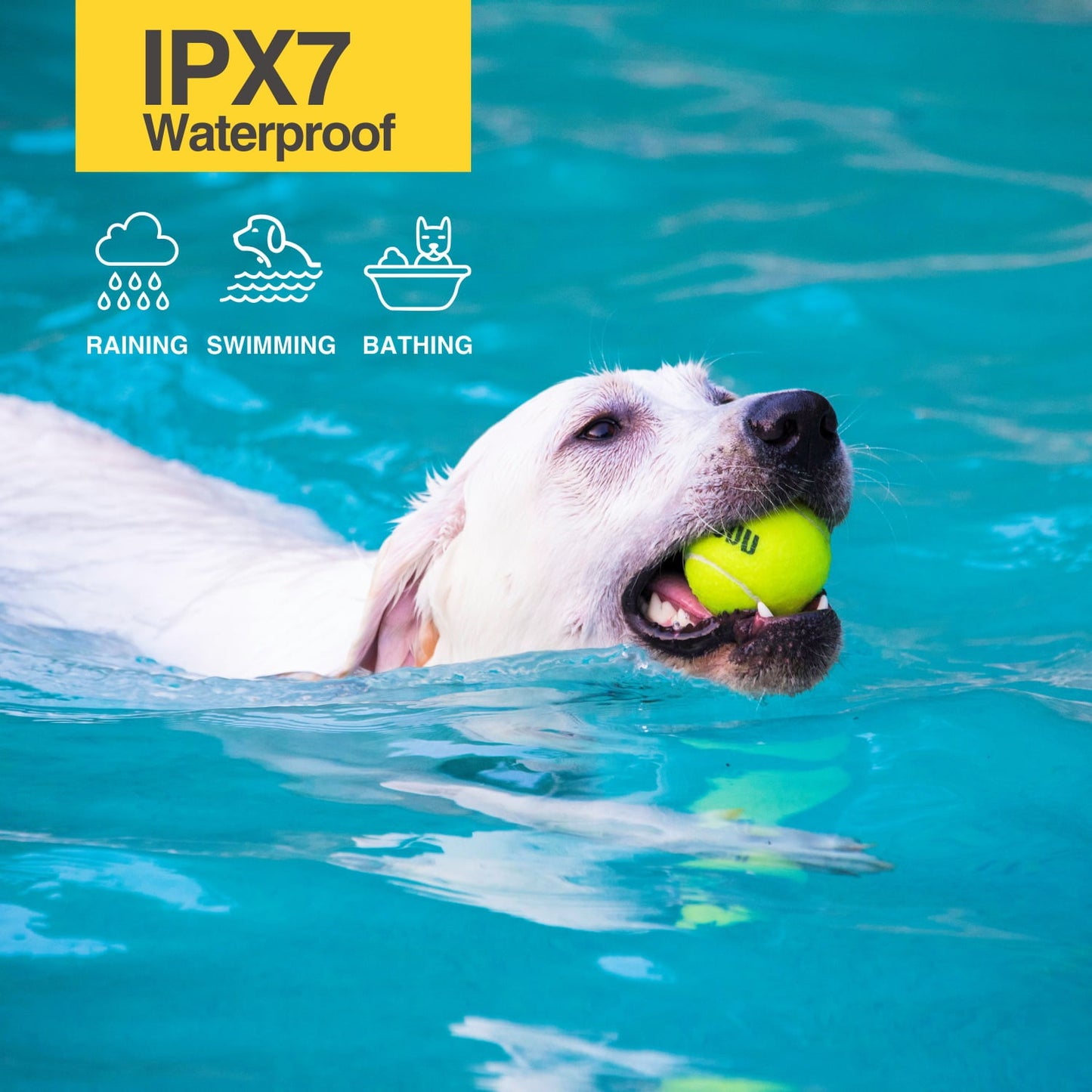 Shock Collar for Dogs - Waterproof Rechargeable Dog Electric Training Collar with Remote for Medium Large Dogs with Beep, Vibration, Safe Shock Modes (10-120 Lbs)