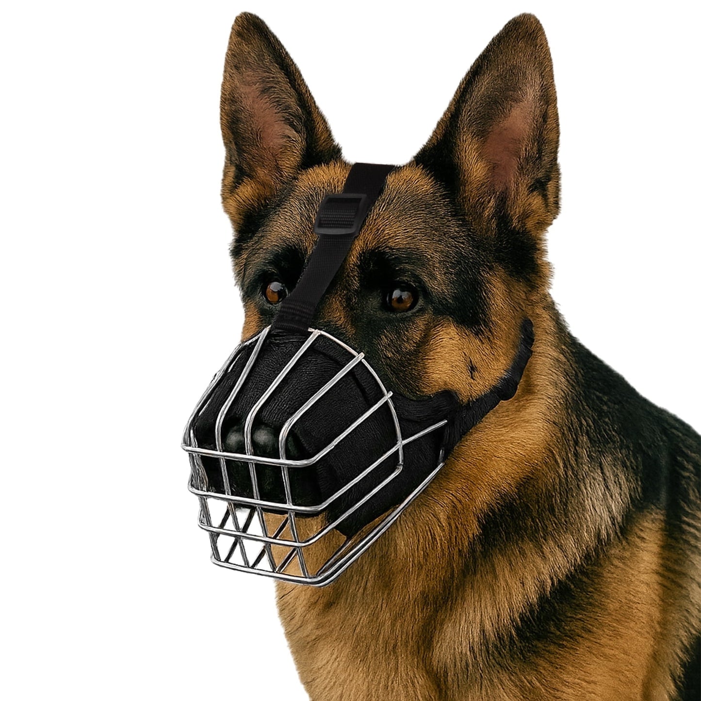 Dog Muzzle Wire Basket Metal Mask for Medium and Large Dogs, Breathable, Dog can Drink, Adjustable, Padded, Training, Prevents Biting,M