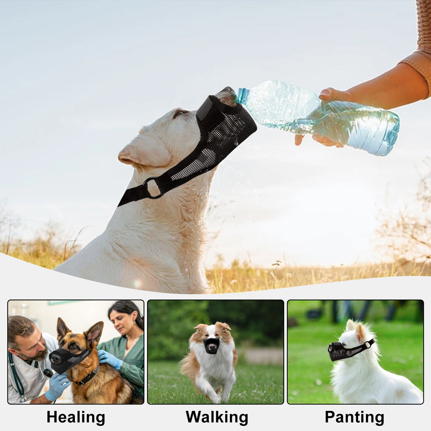 Dog Muzzle, Soft Air Mesh Muzzle for Small Medium Large Dogs Anti Biting Barking Chewing Scavenging, Breathable Adjustable Loop Pets Muzzle with Front Opening Design Allows Panting Drinking,Black XL