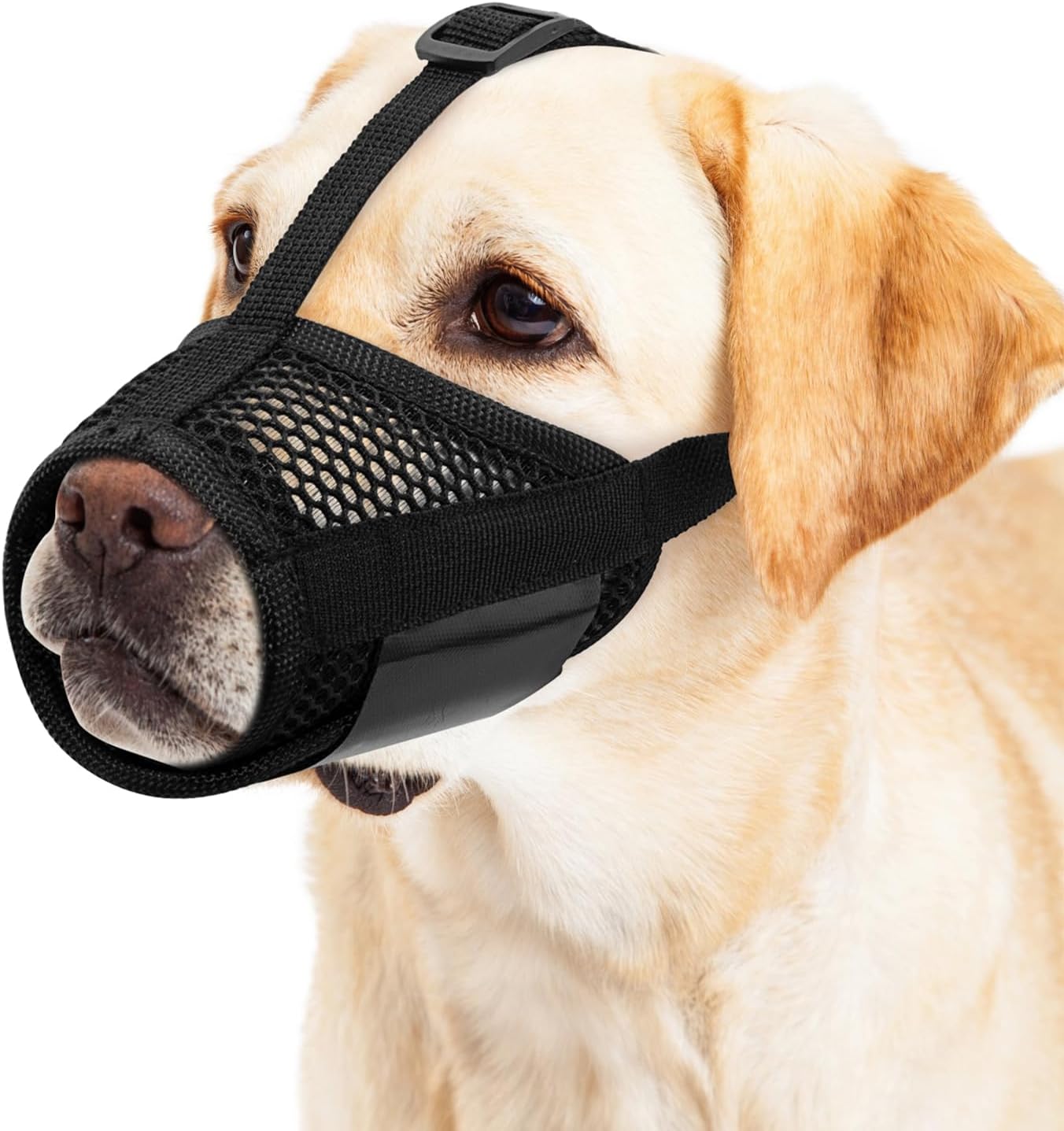 Dog Muzzle,Soft Nylon Muzzle Anti Biting Barking Chewing,Air Mesh Breathable Drinkable Adjustable Loop Pets Muzzle for Small Medium Dogs,Black S