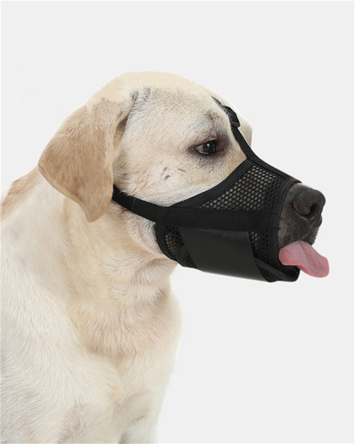 Dog Muzzle,Soft Nylon Muzzle Anti Biting Barking Chewing,Air Mesh Breathable Drinkable Adjustable Loop Pets Muzzle for Small Medium Dogs,Black S