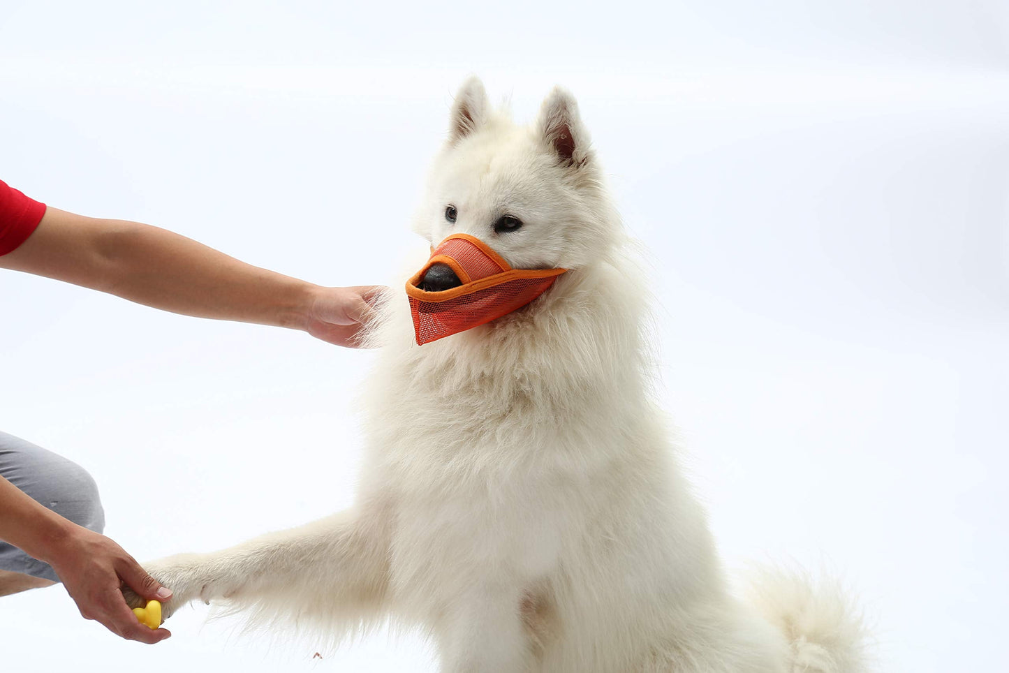 Dog Muzzle Anti Biting Barking and Chewing with Comfortable Mesh Soft Fabric and Adjustable Strap, Suitable for Small Dogs,Orange S