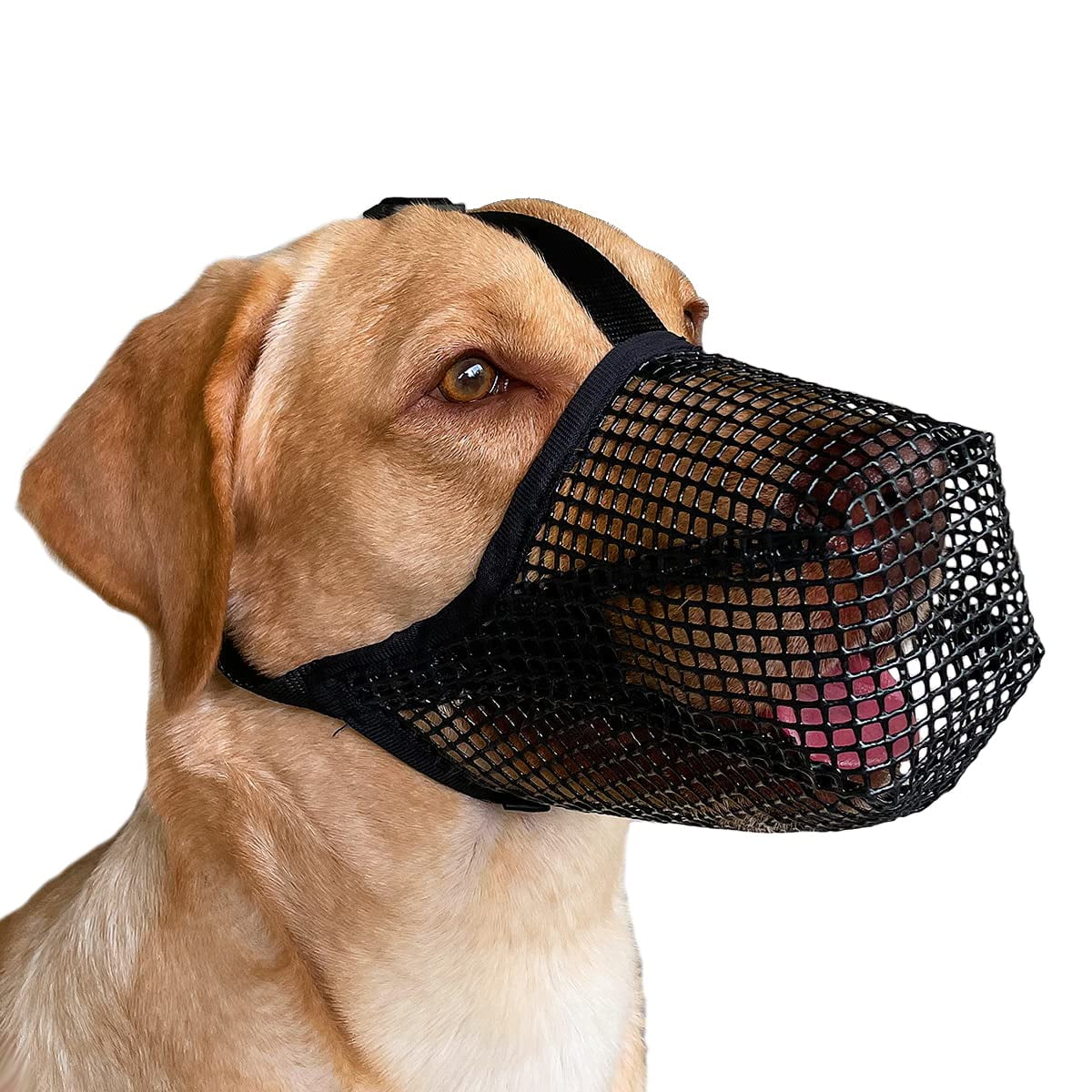 Dog Muzzle,Soft Mesh Covered Muzzles for Large Dogs,Protection Muzzle with Adjustable Straps,Prevent Biting Chewing and Licking,Black XL