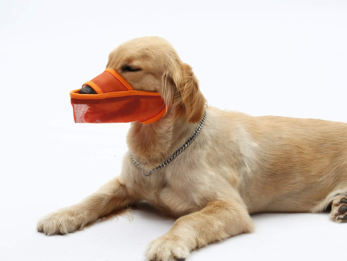 Dog Muzzle,Soft Mesh Muzzle for Large Dogs,Breathable Adjustable Muzzles for Biting,Chewing,Scavenging and Poisoned Bait,Allows Panting and Drinking,Orange XL