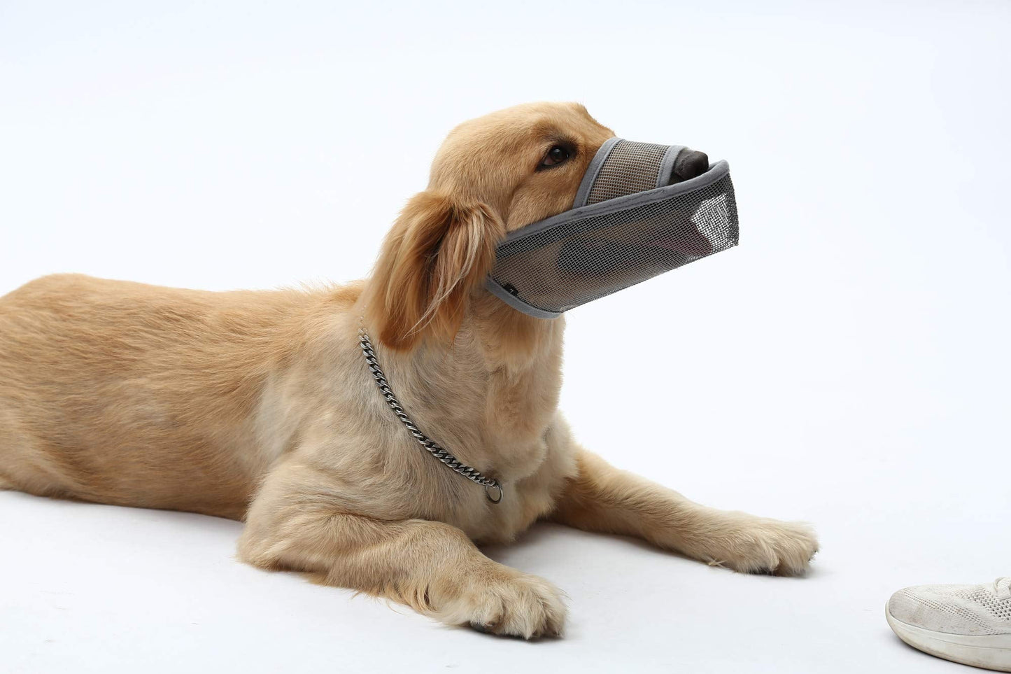 Dog Muzzle to Prevent Biting Barking and Chewing with Adjustable Breathable Mesh Soft Fabric,Gray M
