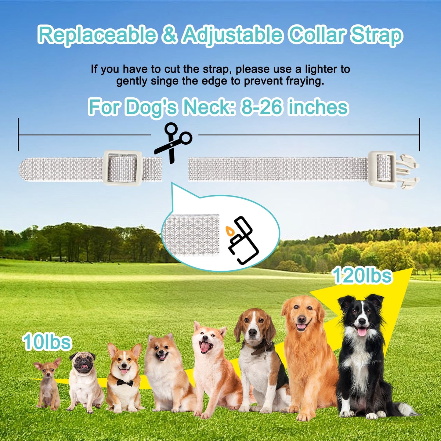 Dog Bark Collar, Dog Training Collar with 1300ft Remote for Medium Large Dogs 10-120lbs, 99-Level Precise Control, Rechargeable, Black